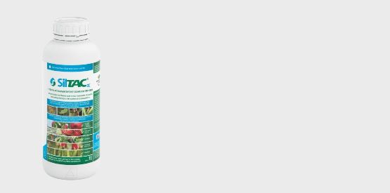 Banner 2