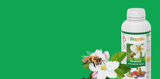 BANNER - BIPOLIN - OVOCE