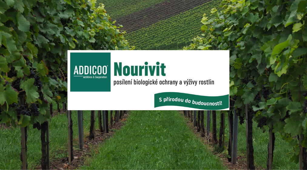Nourivit - ošetření porostu