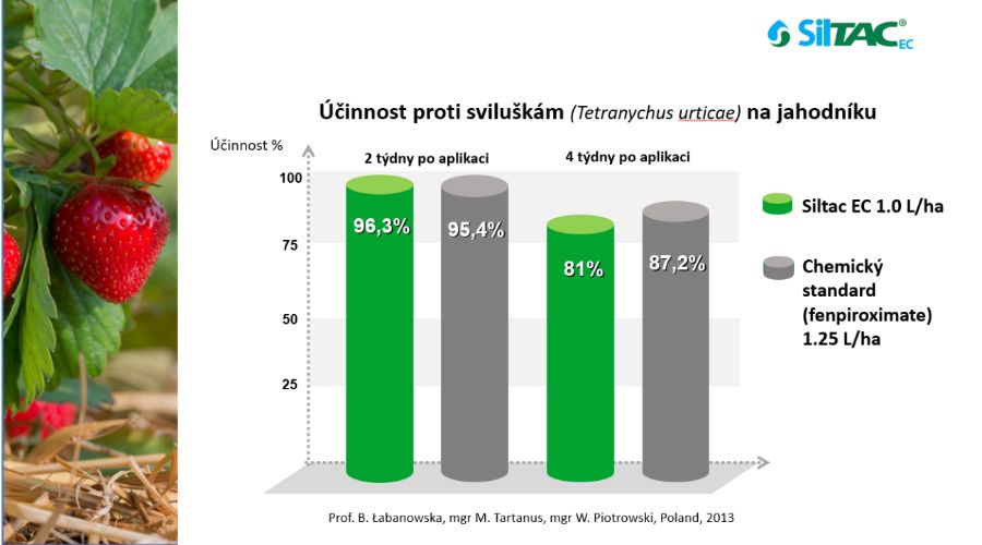 Sviluška na jahodníku | Siltac EC | PRONACHEM.CZ
