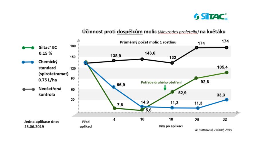 Siltac EC | účinnost na květáku - dospělci molic | PRONACHEM.CZ