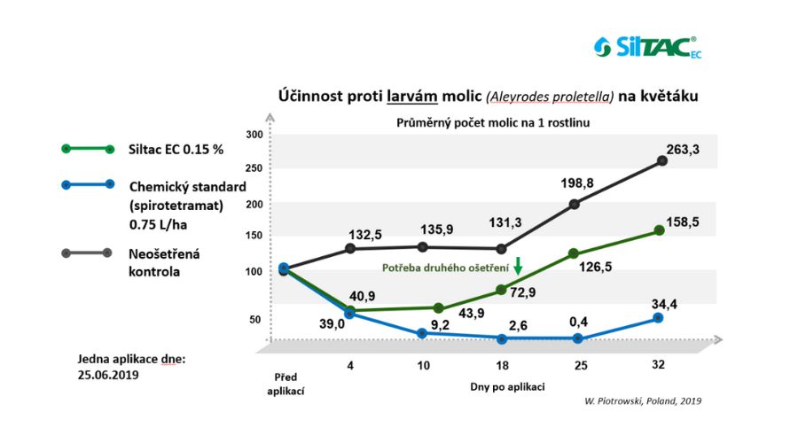 Siltac EC | účinnost na květáku - larvy molic | PRONACHEM.CZ