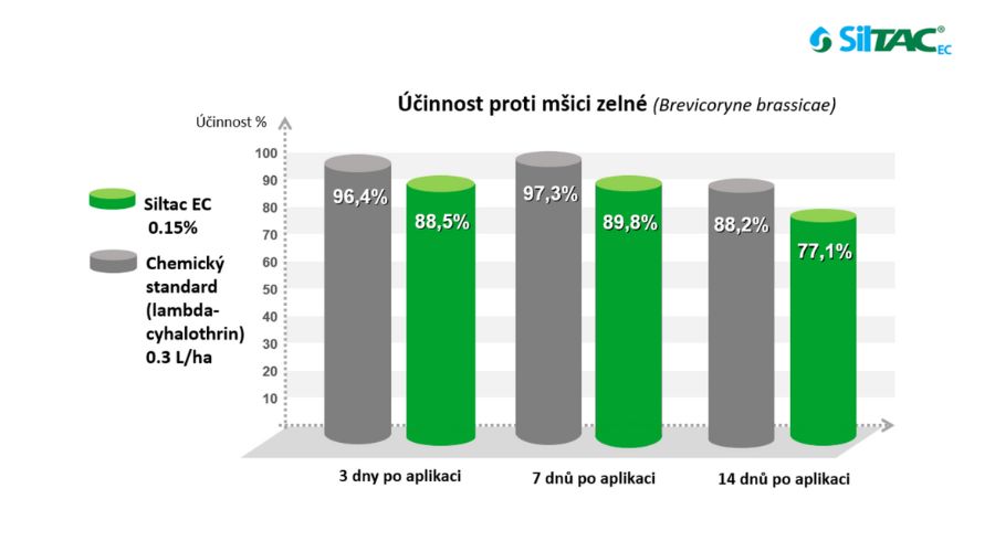 Siltac EC | účinnost na mšici zelnou | PRONACHEM.CZ