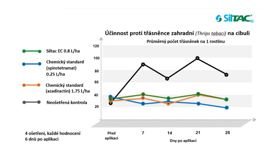 Siltac EC | účinnost na třásněnku na cibuli | PRONACHEM.CZ